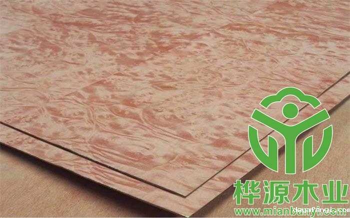 麦当娜树榴星空体育入口app,高档星空体育入口app定制