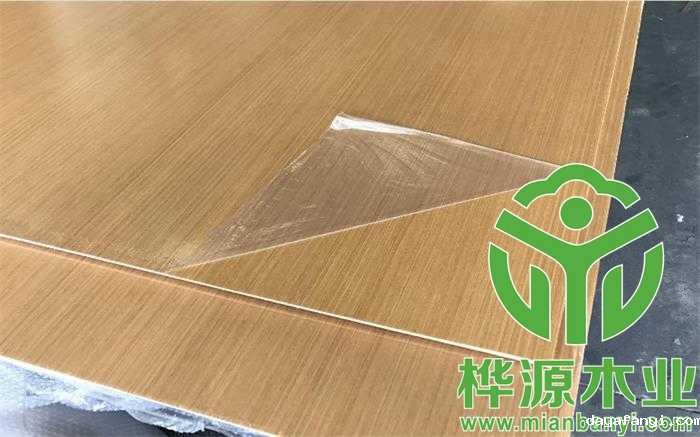 科技柚星空体育入口app，柚星空体育入口app定制